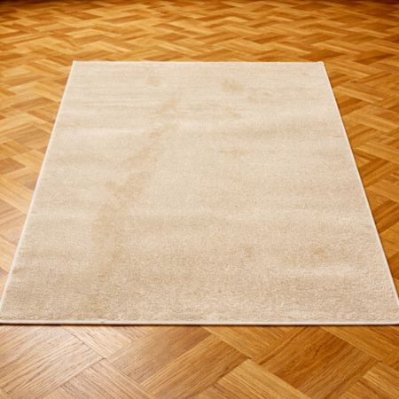 Bež tepih za dnevnu sobu Freya 670